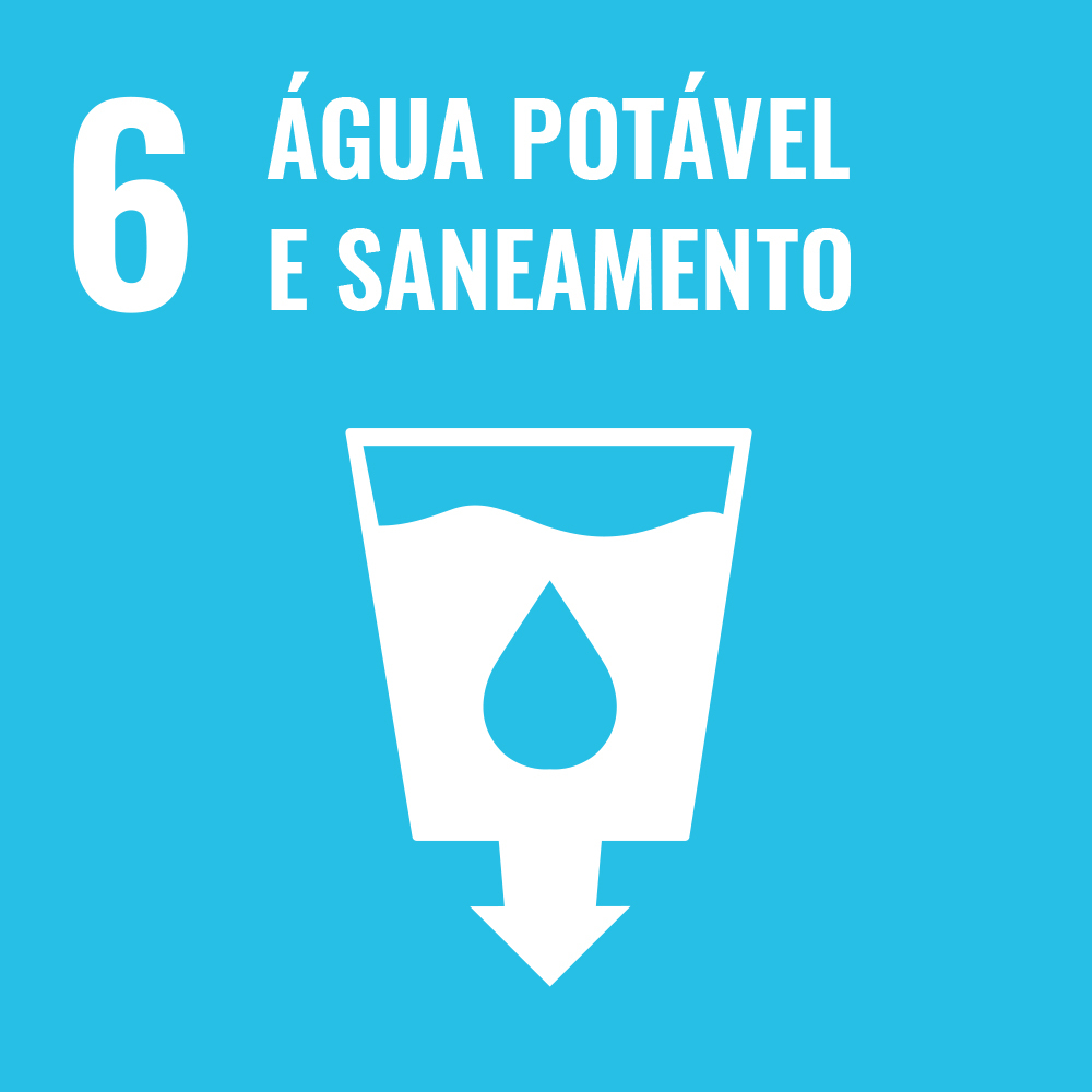 Sexto Objetivo de Desenvolvimento Sustentável, 17ODS, ONU