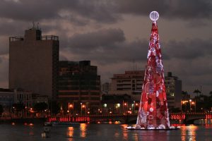 árvore de natal resíduos recife